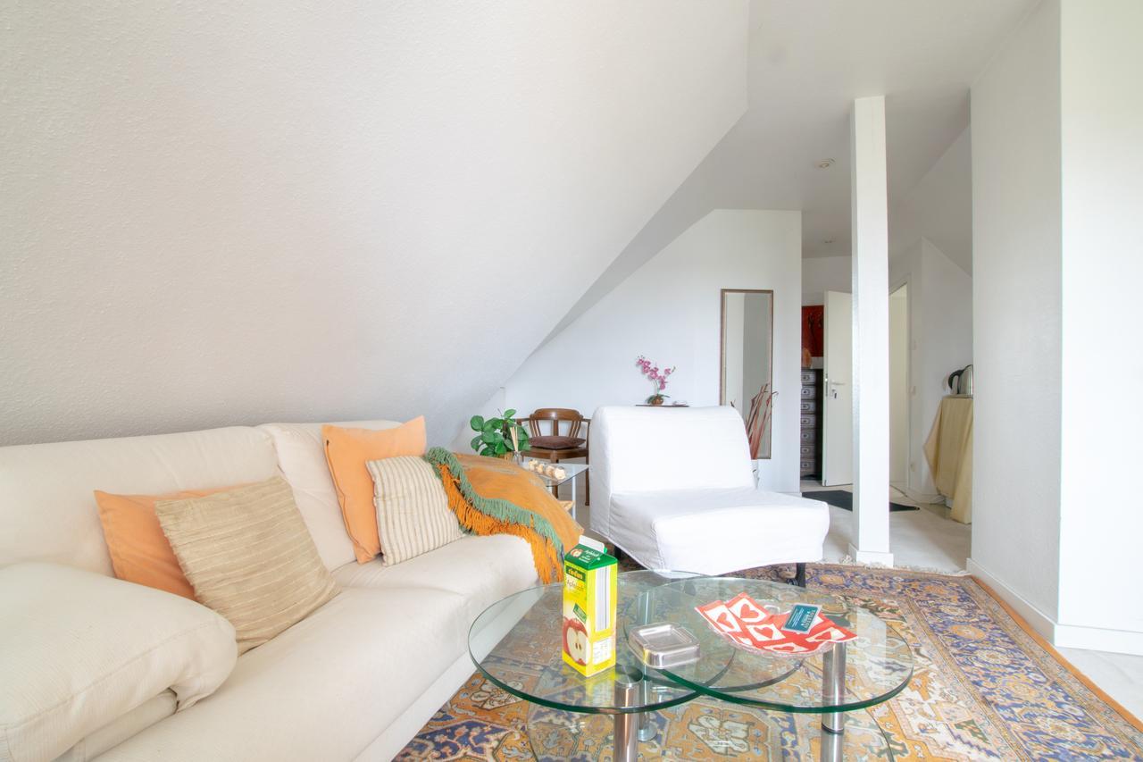 Meerbusch Apartments - 20 Min Messe Dus Екстер'єр фото